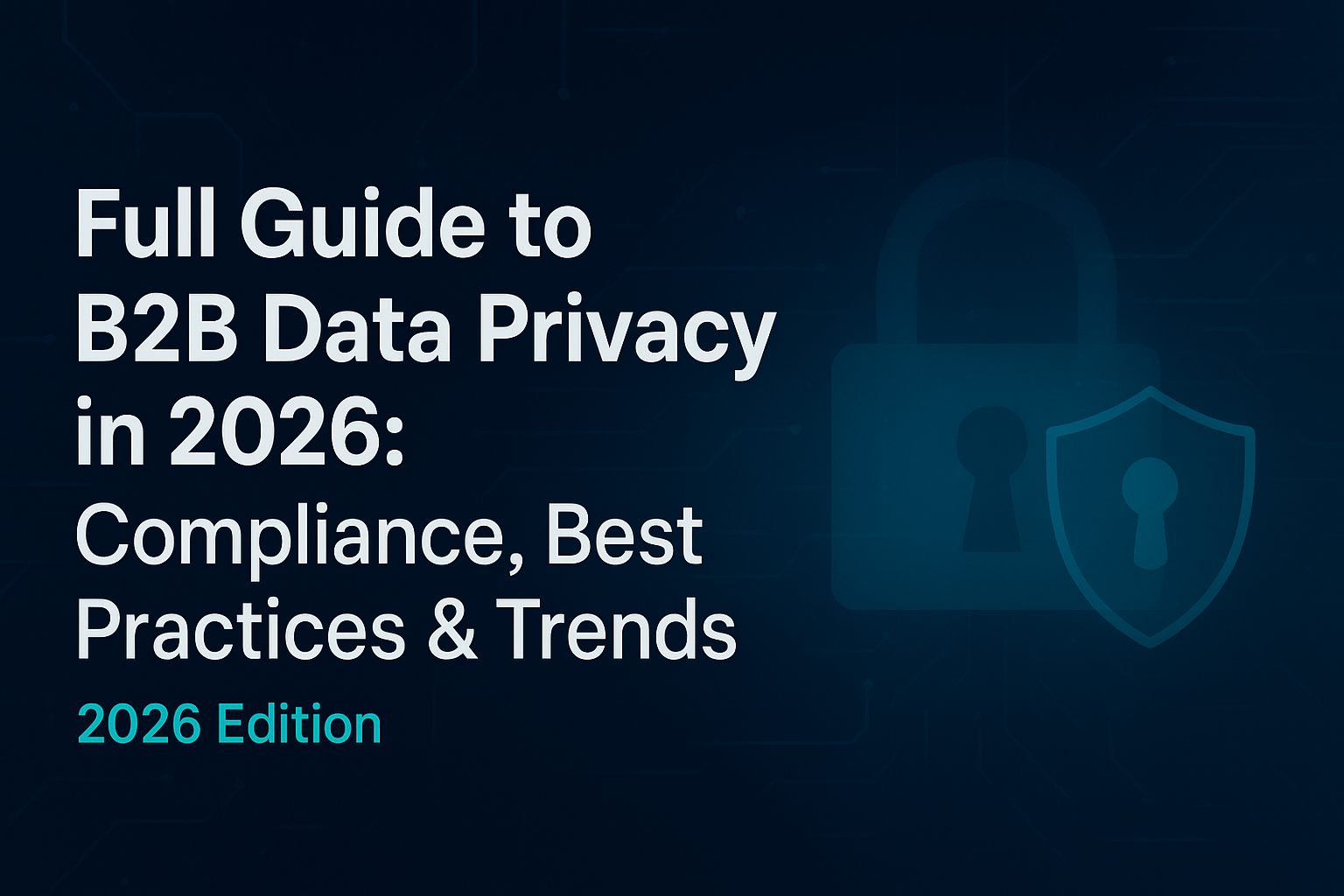 B2B Data Privacy Full Guide